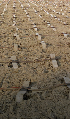 FDP快速软地基处理技术